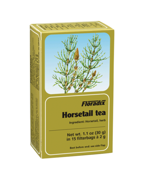 Salus Haus Horsetail Tea (15 Teabags)